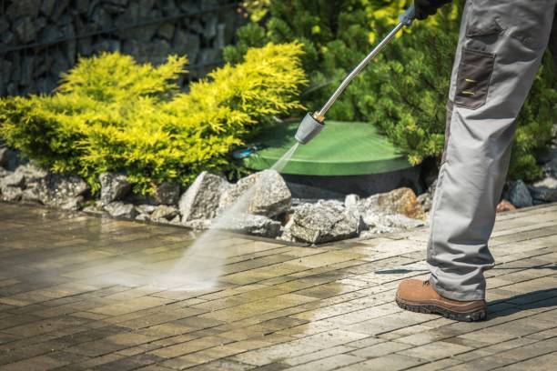 Best Animal Enclosure Cleaning  in Woodcliff Lake, NJ